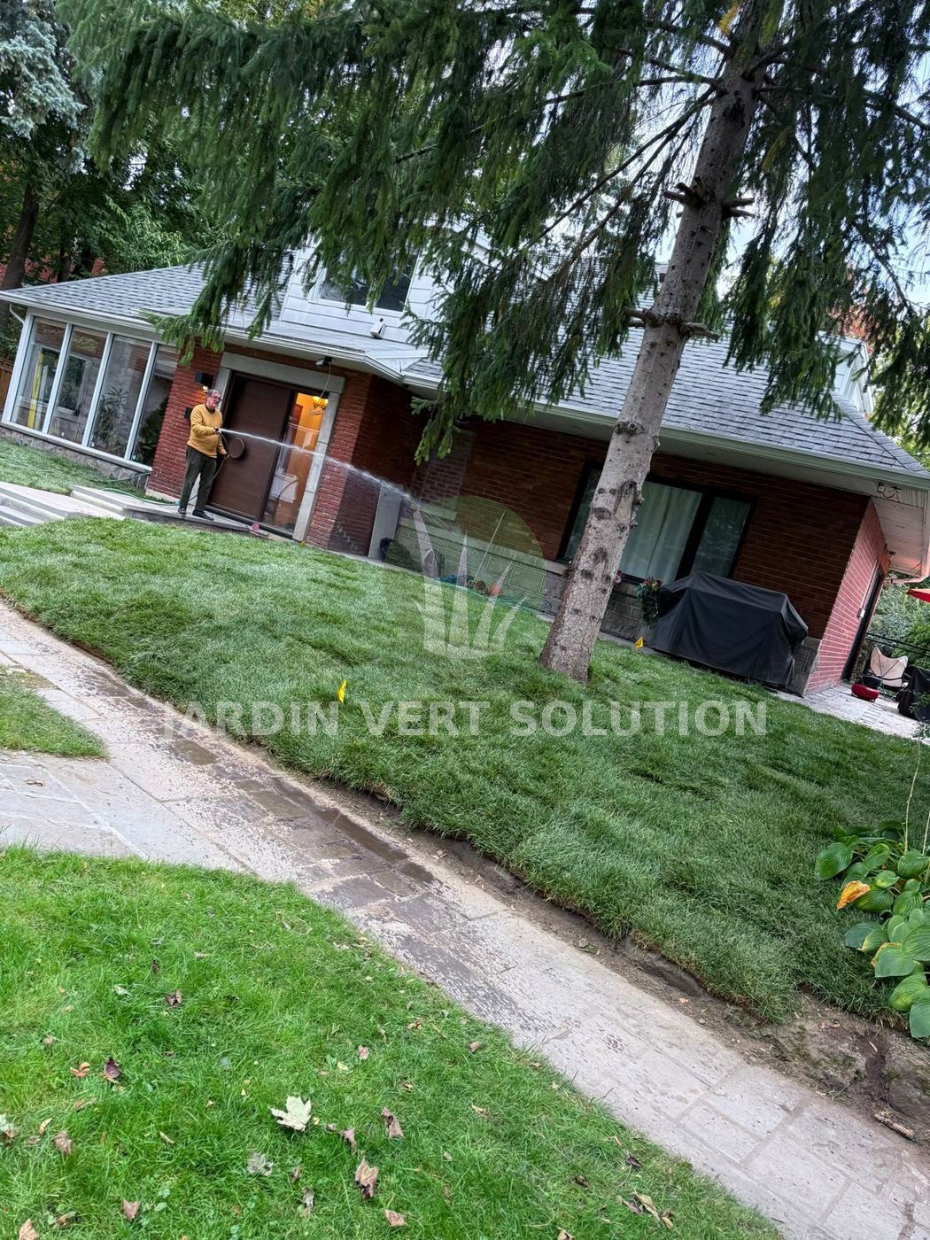 Façade et entrée – pose de tourbe Jardin Vert Solution